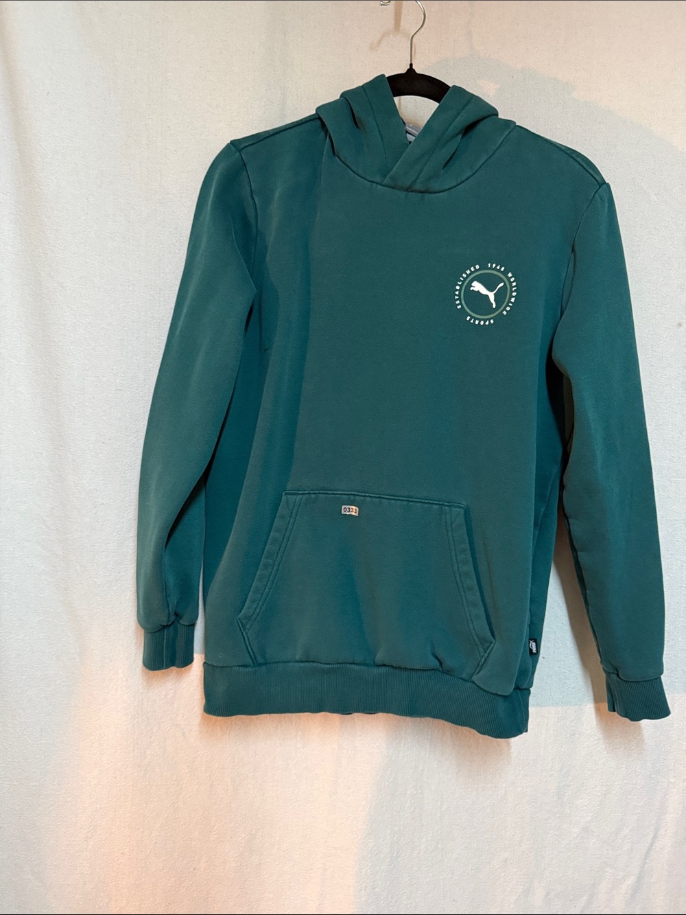 Puma Teal Hooded Pullover Sweatshirt